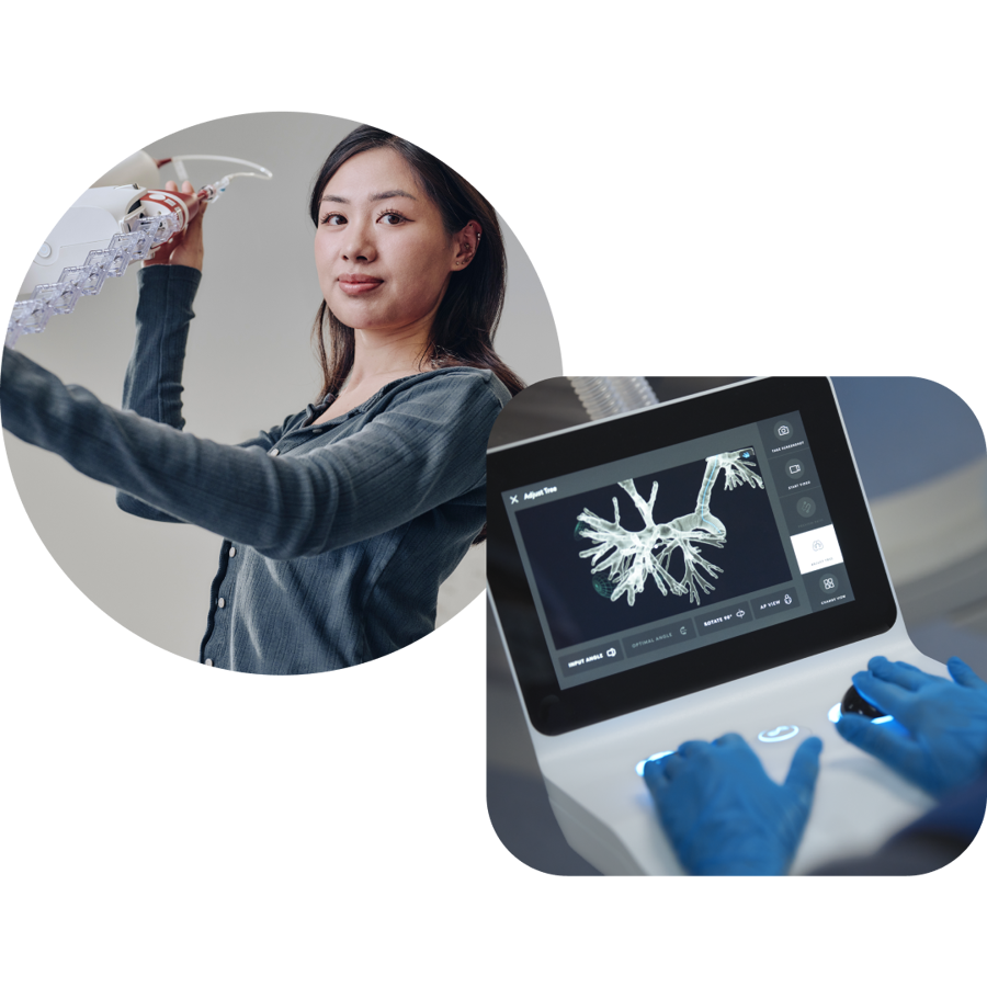 Ion Software Engineering